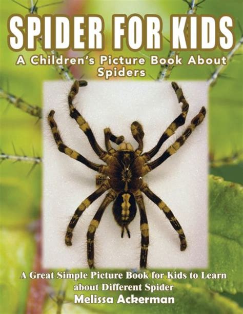 Spiders For Kids A Childrens Picture Book About Spiders A Great