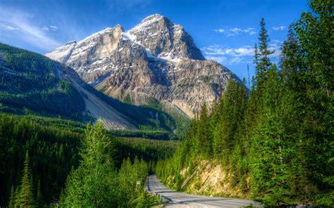 Download Wallpaper For 320x480 Resolution Mountains Road Forest