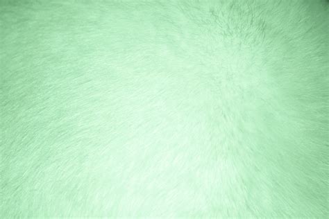 Free Download Light Green Fur Texture Picture Free Photograph Photos
