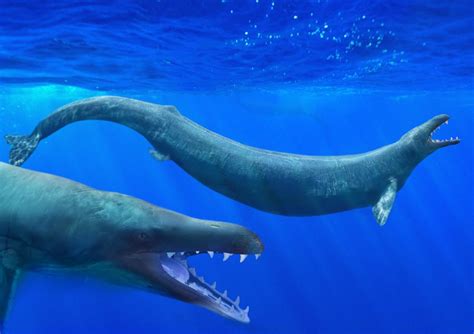 Top 10 Prehistoric Whale