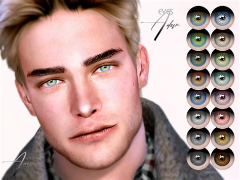 Adam Eyes By Angissi At Tsr Sims 4 Updates