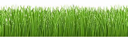 Grass Ground Clipart Herbe Vector Bas Transparent
