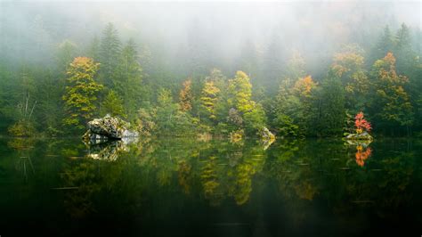 Beautiful Yellow Green Autumn Trees Forest With Fog Reflection On River