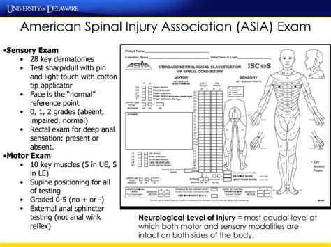 Ppt Case Study Of A Person With A Spinal Cord Injury
