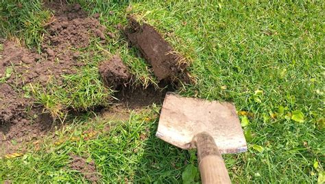 If the soil reacts to the vinegar, it's more alkaline. Preparing the soil to plant new grass - Lawn and Landscaping in DC, Maryland and Virginia