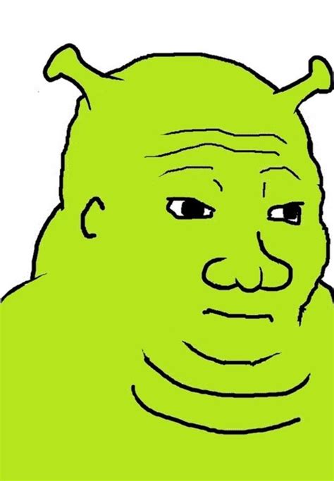 Shrek Meme 22 Shrek Memes For When The Years Dont Stop Coming
