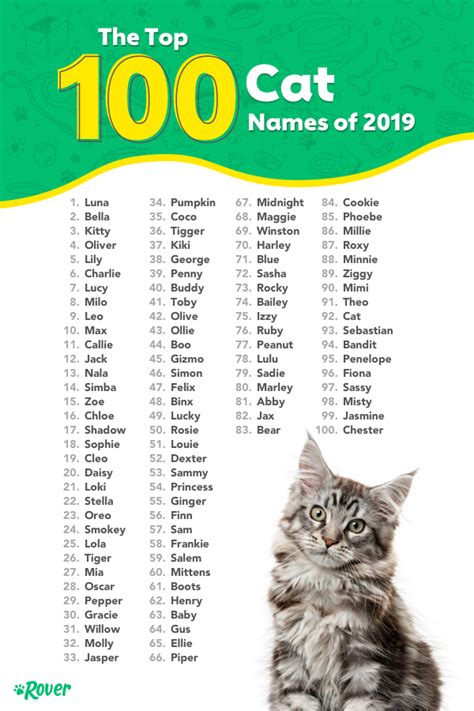 The 100 Most Popular Cat Names Of All Time Cat Names