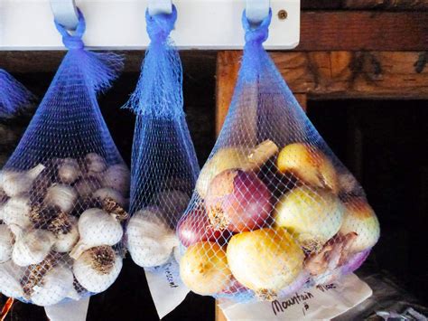 7 Secrets To Harvesting Curing And Storing Onions Storing Onions