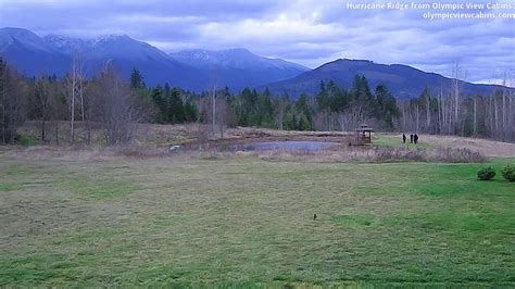 Maybe you would like to learn more about one of these? 2019-11-27 Olympic View Cabins Hurricane Ridge Cam - YouTube