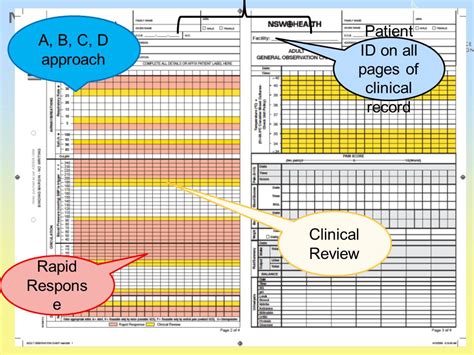 Paediatric Sago Chart A Visual Reference Of Charts Chart Master