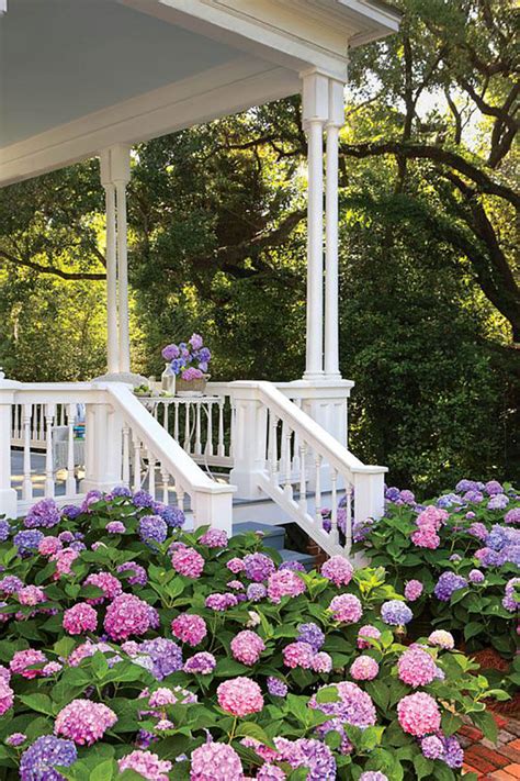 Bring the comfort of the south into your home with southern living flowers! 17 Dreamy Hydrangea Gardens That Are Giving Us Major ...