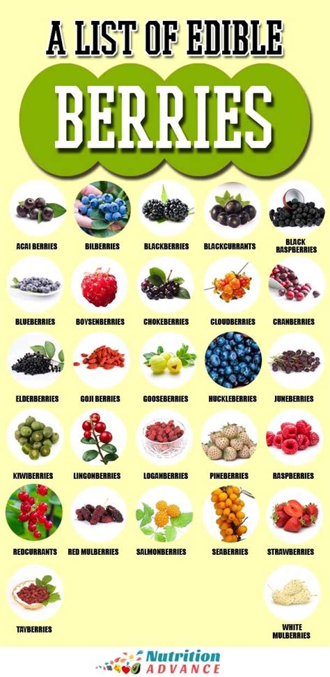 27 Different Types Of Berries To Discover In 2021 Types Of Berries