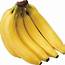 Cavendish Banana 13Kg Box – Kapsam