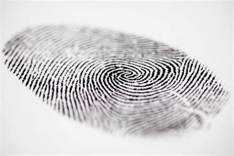The Role Of Dna Fingerprints In Finding Families And Criminals