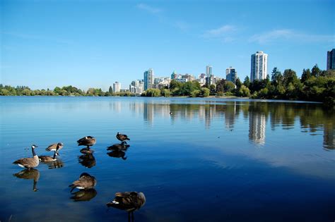 Top 10 Things To Do In Stanley Park Vancouver Parkbench
