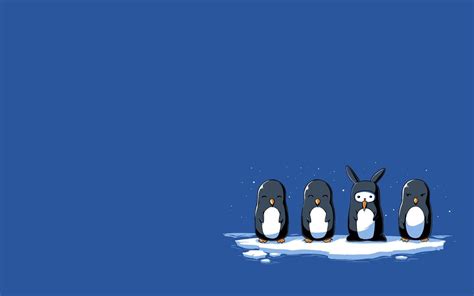 Penguins Simple Background Hd Wallpapers Desktop And