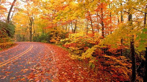 Download Fall Nature Wallpaper By Laurene2 Wallpaper Fall Fall