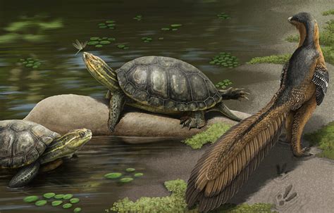 CSUF Alabama Paleontologists Discover New Species Of Giant Fossil