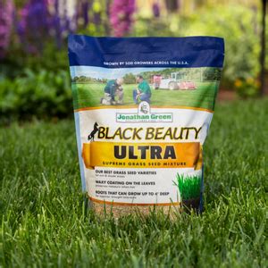 Amazon Com Jonathan Green Black Beauty Ultra Grass Seed Cool Season Lawn Seed Lb