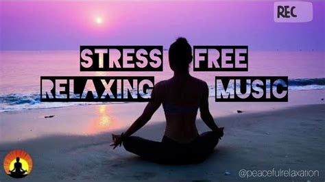Best Stress Free Relaxing Music No Copyright Youtube
