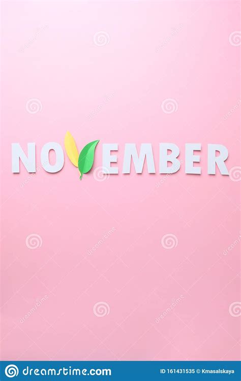 The Word November Cut From Paper With The Letter V Of Leaves On A Pink