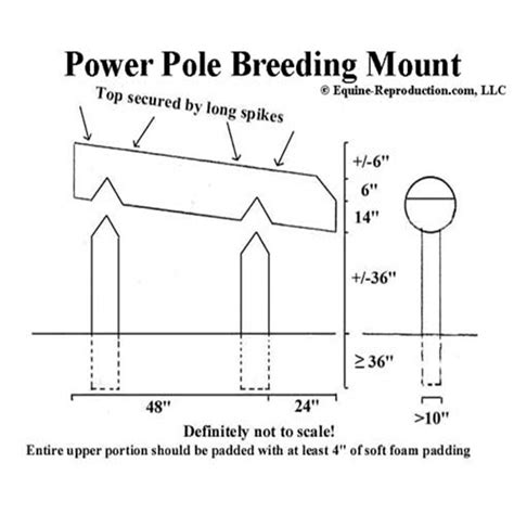 Phantom Plans Build Your Own Breeding Mount Equine Reproduction