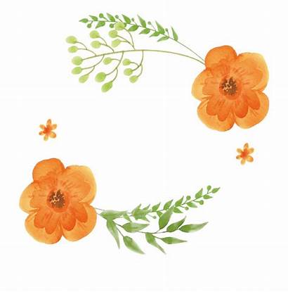 Clipart Orange Flowers Flower Library Painting Watercolor