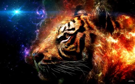 Cool Tiger Wallpapers Top Free Cool Tiger Backgrounds Wallpaperaccess