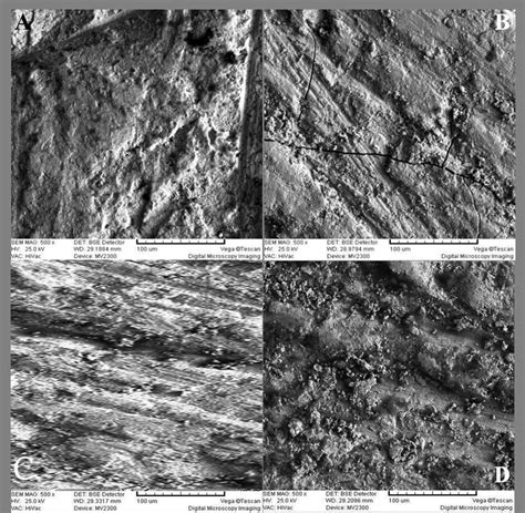 SEM Topography Microphotographs 500 Magnification A Al2O3 Air