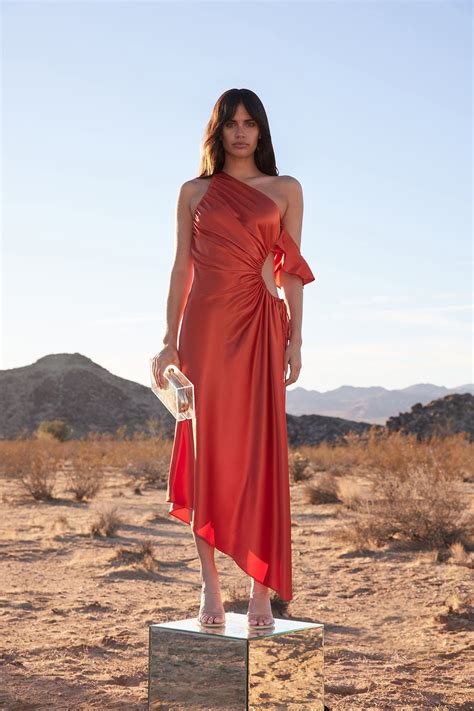 Cult Gaia Fall 2022 Ready-to-Wear Collection | Fashion, Fashion show