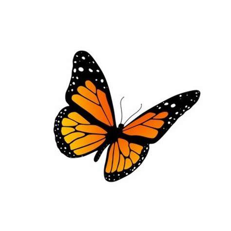 Monarch Butterfly Clip Art Free Printable