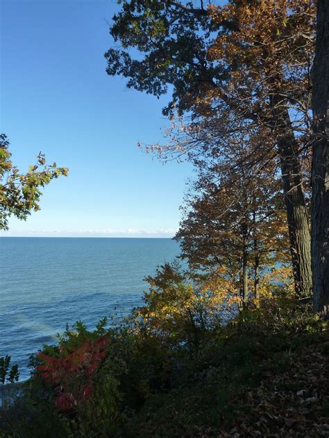 Maybe you would like to learn more about one of these? Romancing the Home: Leaving Lake Bluff