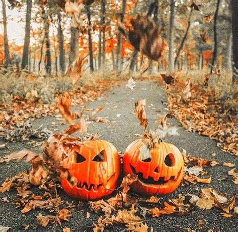 0 3 months 1 4 days 1 5 hours 4 4 minutes 3 0 seconds. Pin by Kelly Deschler on Autumn Days in 2020 (With images ...