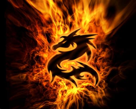30 Dragon Wallpapers Hd Download Free Backgrounds