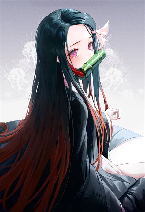 Nezuko Kamado Wallpapers Wallpaper Cave