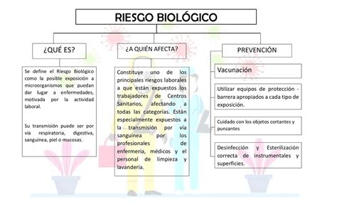 Mapa sobre el Riesgo biológico Esquemas y mapas conceptuales de