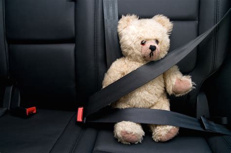 Seat Belts Traffic Safety Guy