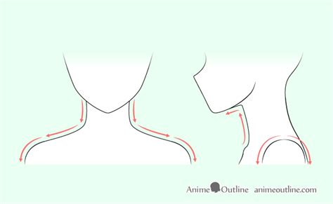 How To Draw Anime Neck And Shoulders Anime Outline