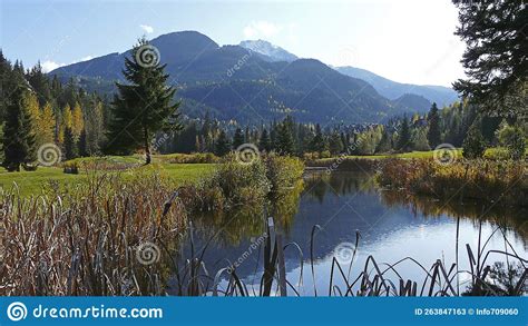 Alta Lake Whistler Columbia Brit Nica Canad Stock Image Image Of