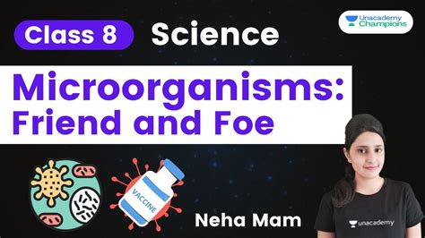 Microorganisms Friend And Foe Class 8 Science Chapter 2 Neha Saini