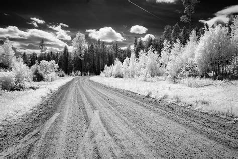 Country Gravel Road In Forest Infrared Image Stock Photo Image Of