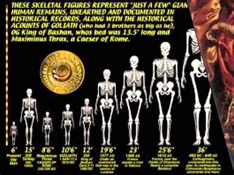 Hollywood S Nonsense Giant Skeleton Giant Skeletons Found Nephilim Giants