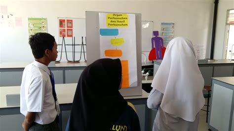 Maybe you would like to learn more about one of these? Idea P&P Sains : Gallery Walk Untuk Sistem Perkumuhan