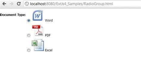 programmers sample guide extjs radiogroup buttons  images  boxlabel