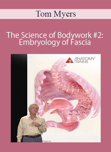 Tom Myers The Science Of Bodywork 2 Embryology Of Fascia Imcourse Download Online Courses