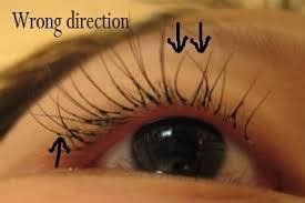 Apr 21, 2020 · become a master with your eyelash curling tool! Why do eyelashes grow in different directions? - Quora