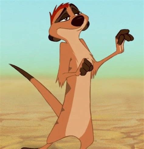 Timon Is A Supporting Character In Disneys 1994 Feature Film The Lion