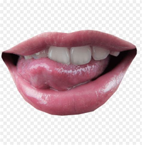Tongue Png PNG Transparent With Clear Background ID 141047 TOPpng