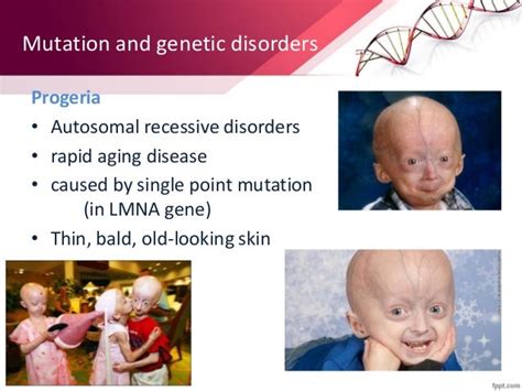 Mutation And Dna Repair