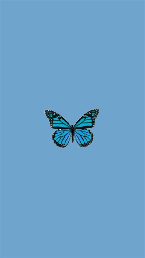 Check spelling or type a new query. #Schmetterling tumblr #butterfly #trendy #wallpaper # ...